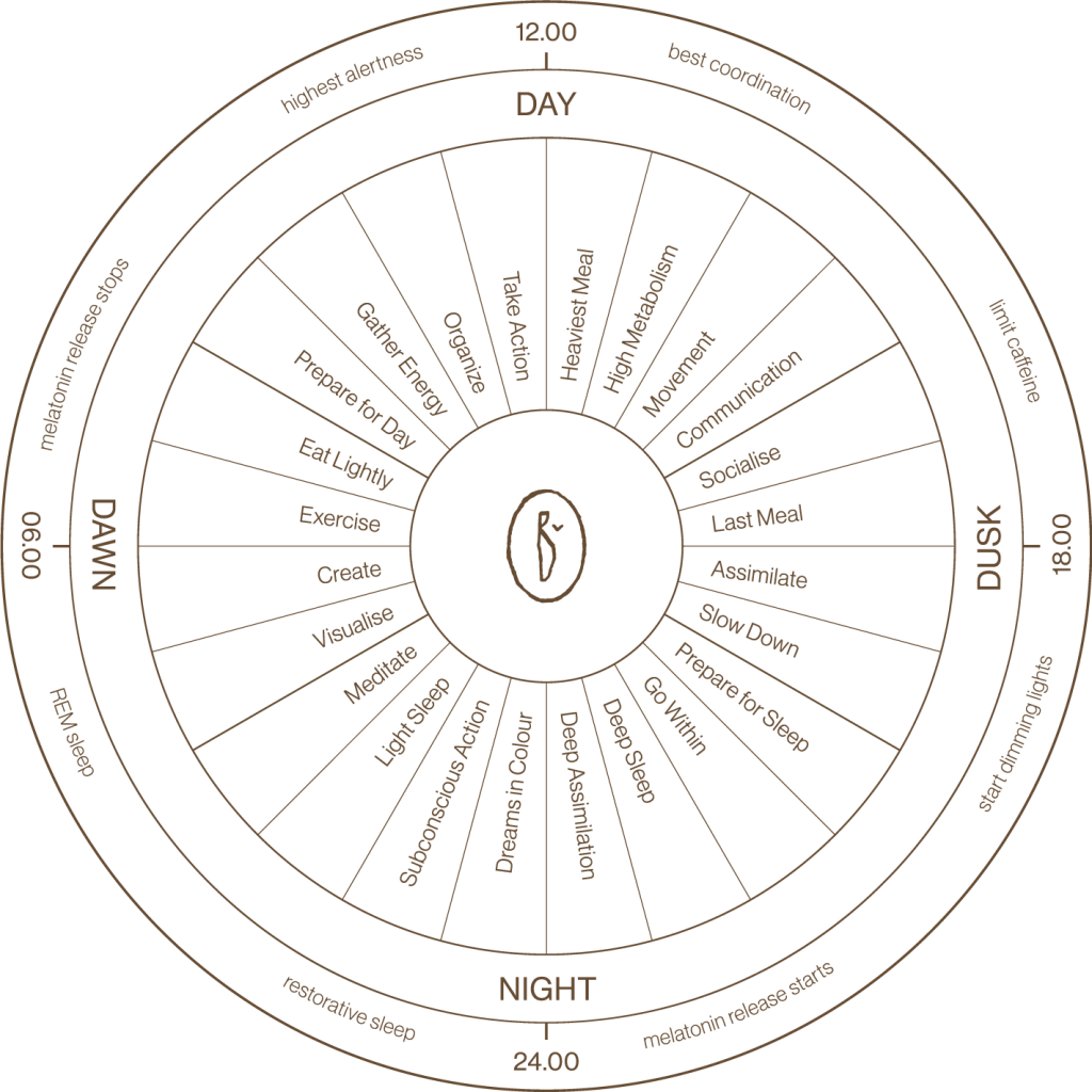 Circadian Cycle