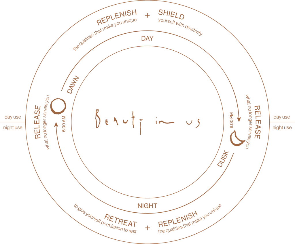 Circadian Cycle